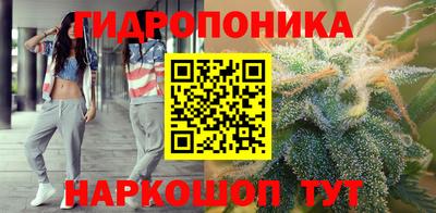 ECSTASY Лесосибирск